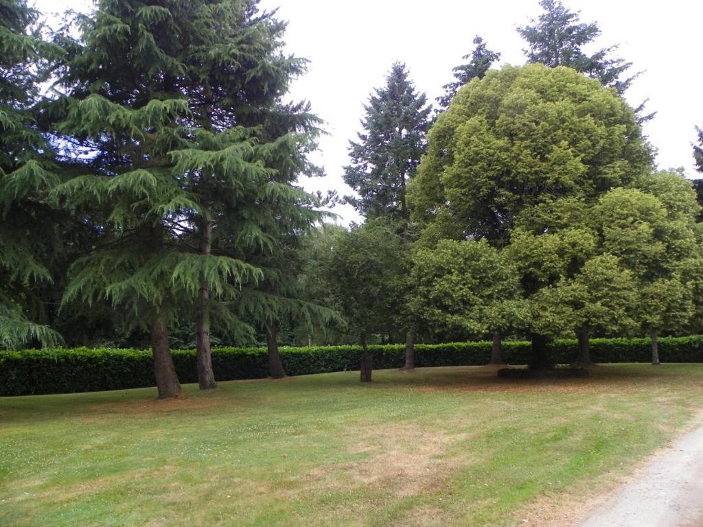 Bed and Breakfast Manoir De Saint-Fiacre Malansac Exterior foto
